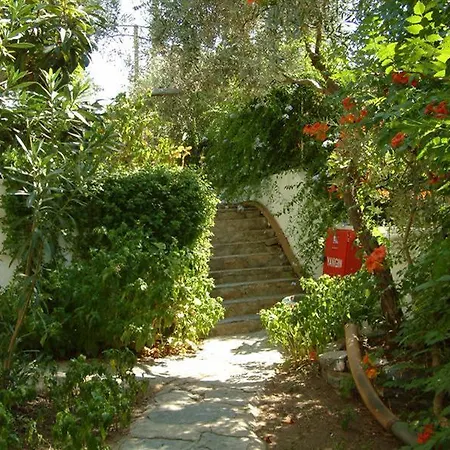 Hotel Eden 2*