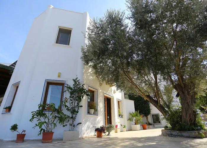 Hotel Eden 2*